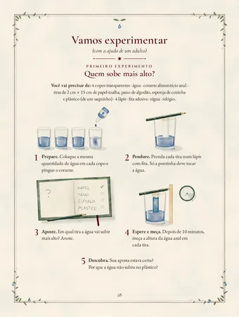 Página do livro: Experimento